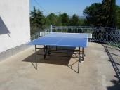 Picture of ping-pong table