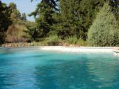 Picture of swimming pool and juniper