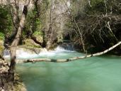 Photo de l'eau verte du bas de la cascade